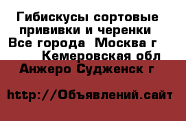 Гибискусы сортовые, прививки и черенки - Все города, Москва г.  »    . Кемеровская обл.,Анжеро-Судженск г.